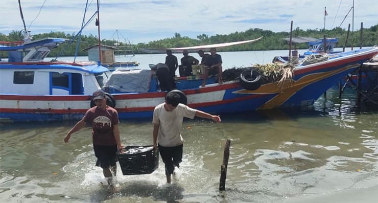 Dukungan permodalan dari LPMUKM membuat Trisman Gea mampu mengembangkan usaha dengan menambah armada kapal tangkap, sehingga hasil tangkapannya pun optimal. - Image