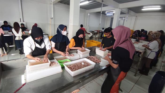 Perjalanan Herman Membangun Rantai Pasok Perikanan Berkualitas Internasional - Image