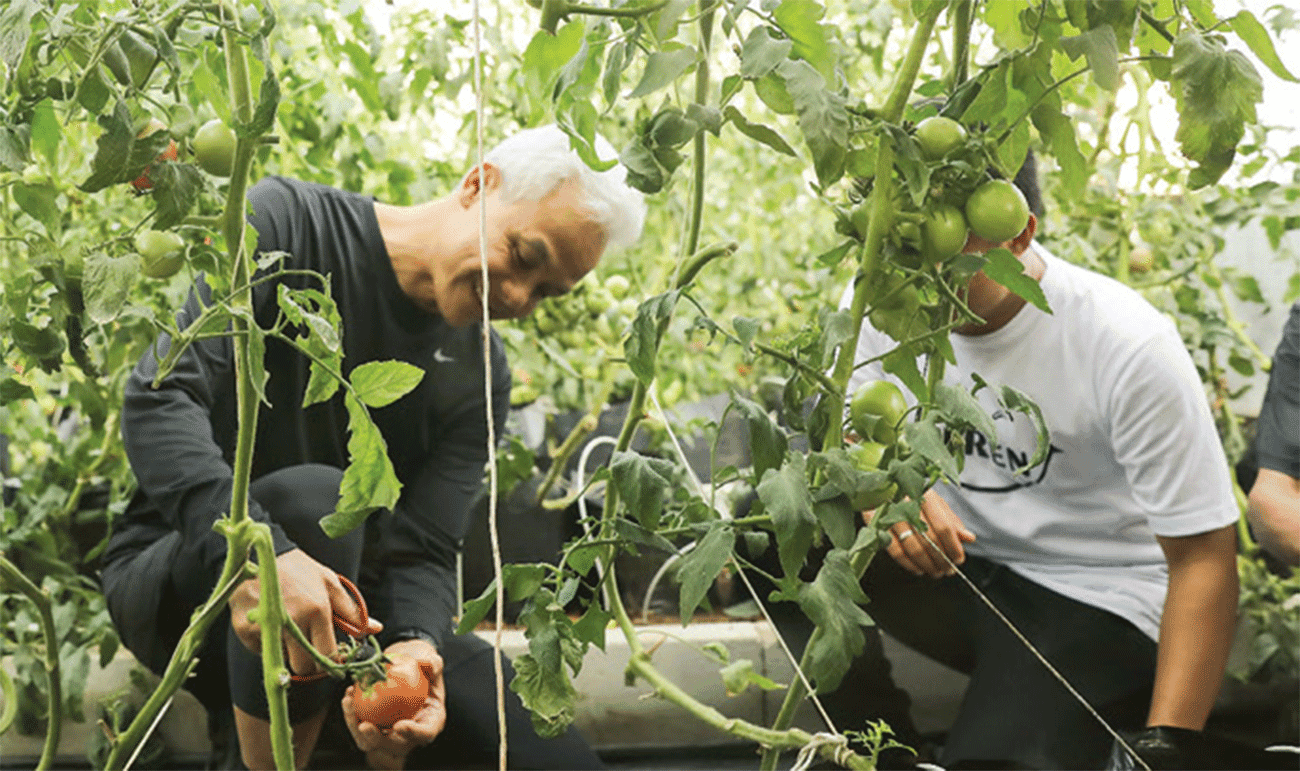HILIRISASI PERTANIAN: Ganjar Pranowo berbincang dengan Duta Petani Milenial Sandi Oka Susila di Desa Tegallega, Kabupaten Cianjur, Jawa Barat, Kamis (5/10). - Image