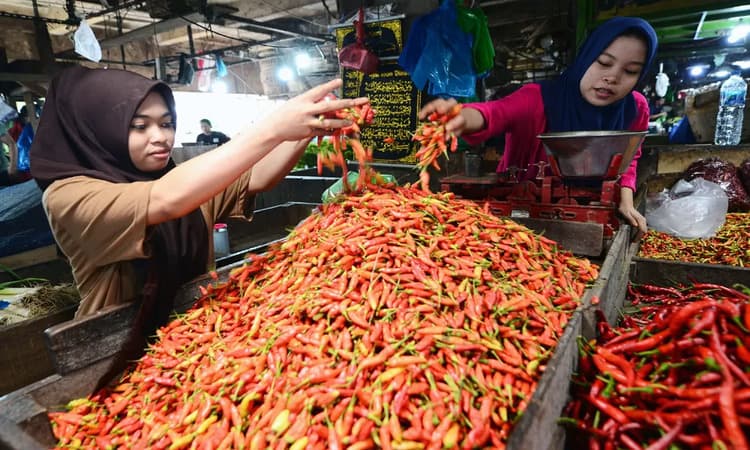 Saat Awal Ramadhan 2026, Harga Bawang Merah  dan Cabai Merangkak Naik di Pasar Induk Kramat Jati - Image