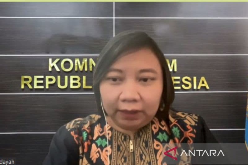 Ketua Komnas HAM, Anis Hidayah. (ANTARA/Donny Aditra) - Image