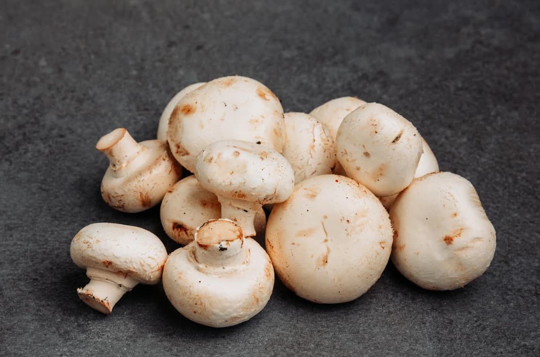 Ilustrasi 10 Manfaat Hebat Jamur: Sumber Gizi Alami yang Kaya Khasiat! / freepik - Image