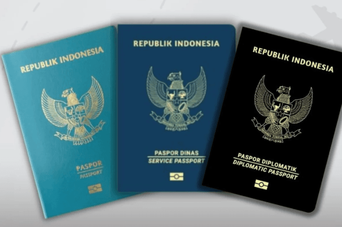 WNI Pemegang Paspor Indonesia Kini Bebas Visa ke 49 Negara, Simak Daftarnya - Image