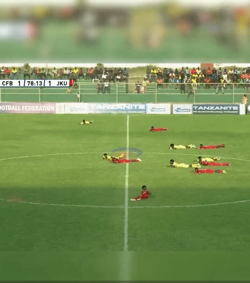 Sebuah Pertandingan Sepak Bola di Tanzania Dihentikan karena Sekawanan Lebah Mengacau, Para Pemain Terpaksa Tiarap di Tanah - Image