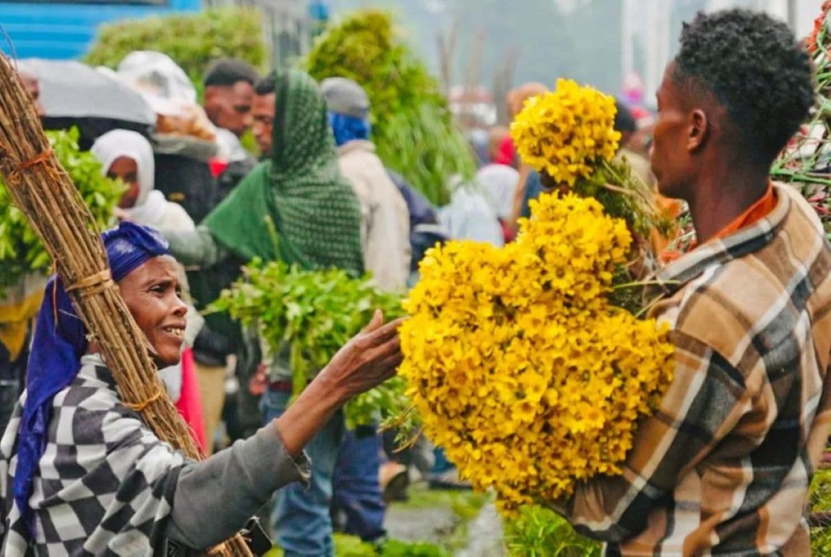 Bunga kuning yang dikenal sebagai adey ababa identik dengan perayaan Tahun Baru di Ethiopia. (Amensisa Ifa/BBC) - Image