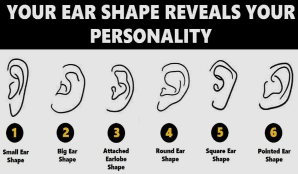 Rahasia Kepribadian yang Tersimpan di Balik Bentuk Telinga: Kamu Termasuk yang Mana? - Image