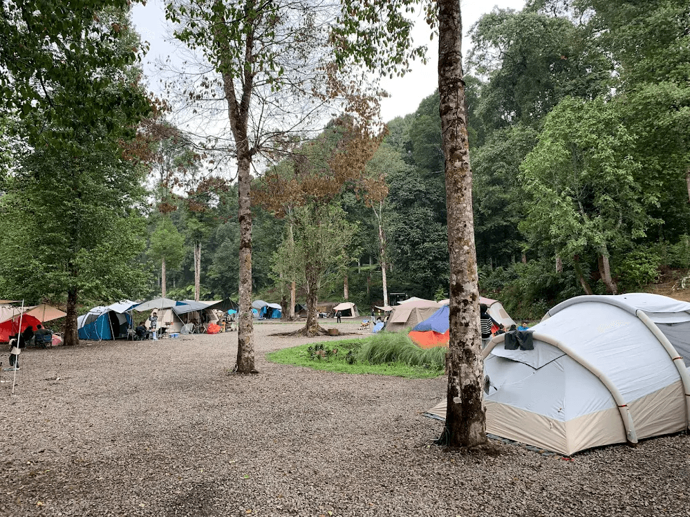 Bosen di Kota? Intip 12 Rekomendasi Tempat Camping di Ciwidey Bandung dengan View Cakep yang Bikin Susah Move On - Image