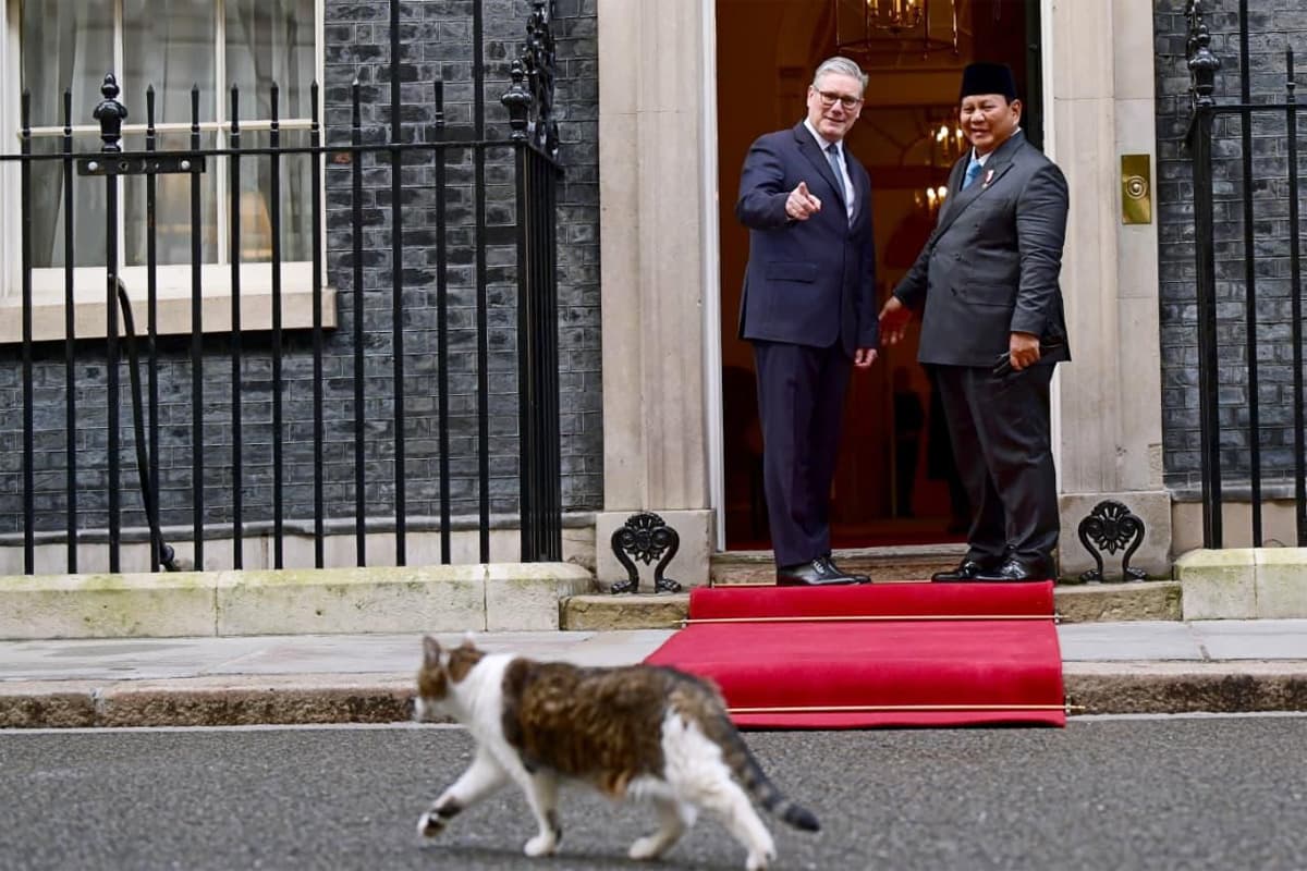 Momen Lucu Larry the Cat Lewat di Hadapan Prabowo dan PM Inggris, Auto Senyum - Image