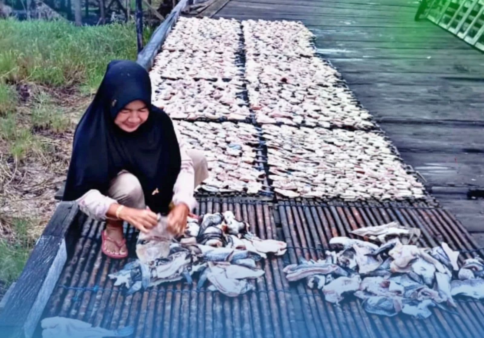 Perempuan pesisir Kaltim mengolah hasil laut menjadi ikan asin demi menopang ekonomi keluarga dengan dukungan pendampingan PNM. - Image