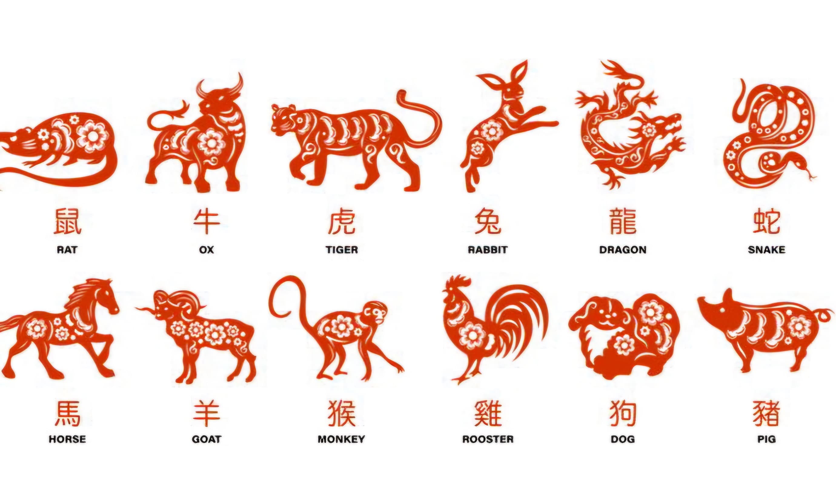 Ramalan 12 Shio Besok Kamis, 19 Februari 2026: Energi, Keuangan, Karier, Cinta, Kesehatan, dan Psikologis - Image