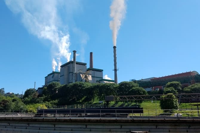 Ilustrasi industri pulp and paper (Pixabay) - Image